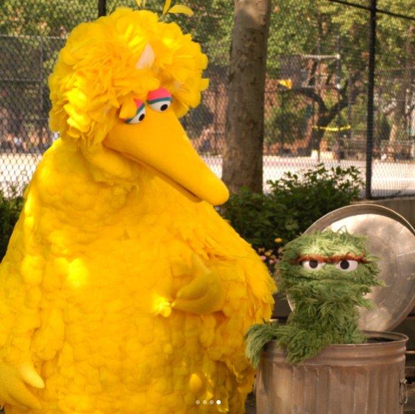 Big Bird meets Beastie Boys.