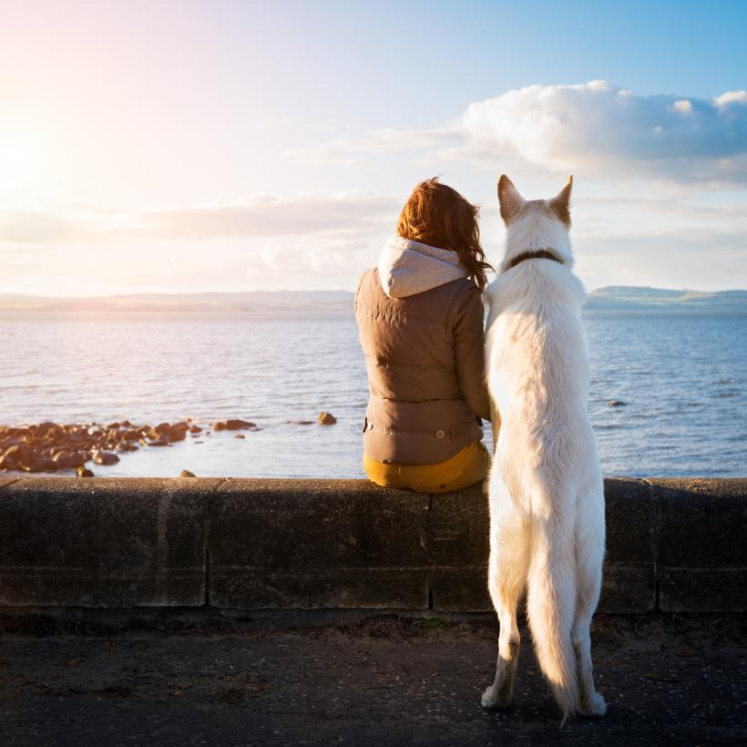 No matter what you want to tell him, your dog will listen to you.