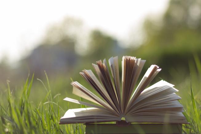 The queer beach read you've been waiting for. Image: Thinkstock.