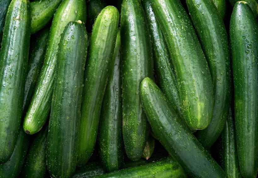 These cucumbers are a euphemism! Or a sex toy all on their own — your choice!