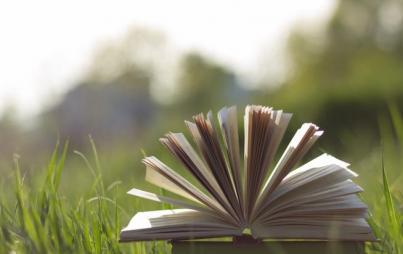 The queer beach read you've been waiting for. Image: Thinkstock.