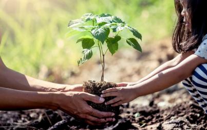 "We can all do our part for a healthier planet, even if we just start with planting a single seed."